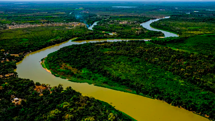 STF estabelece prazo de até 18 meses para que Congresso edite Lei sobre proteção do Pantanal